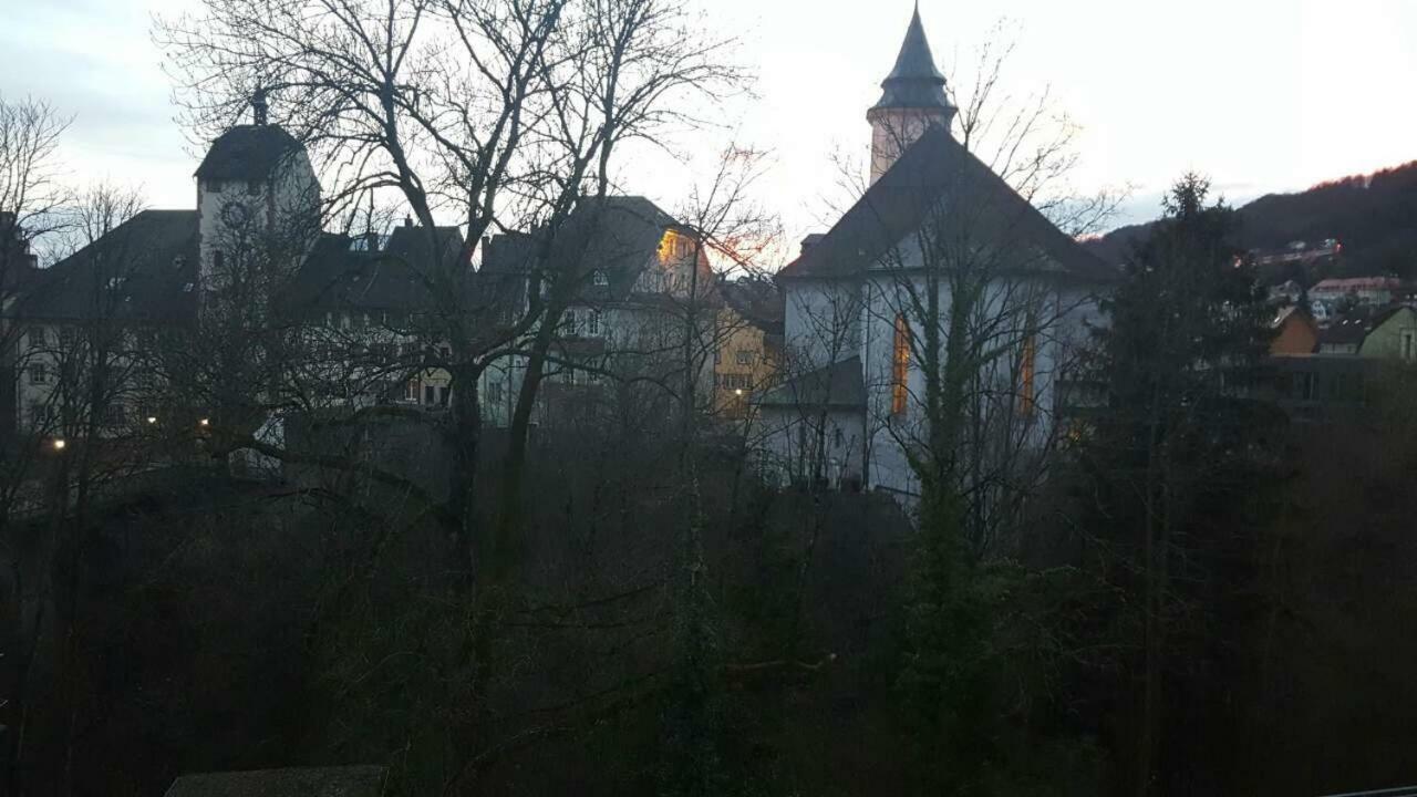 Waldshut Suite In Zentrum Εξωτερικό φωτογραφία